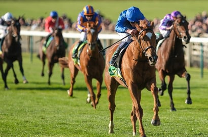 newmarket buick fillies mile