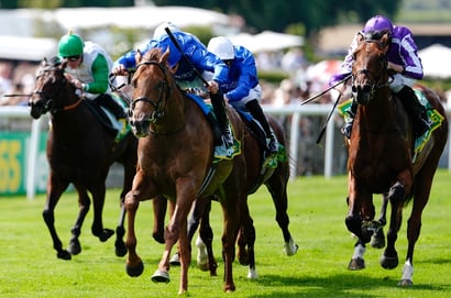 newmarket racecourse july