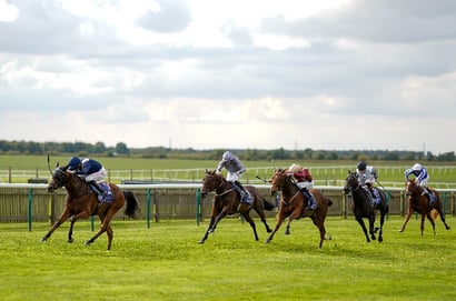 newmarket rockfel