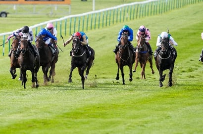 newmarket september