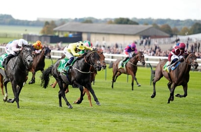 newmarket september