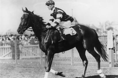 Melbourne Cup Week Legends: Phar Lap, Vain, and the Horses Who Took Over Flemington