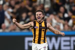 Fremantle Dockers vs Hawthorn Hawks Tips and Prediction AFL Round 9 2026