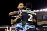nikora sharks