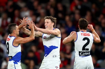 north melbourne kangaroos