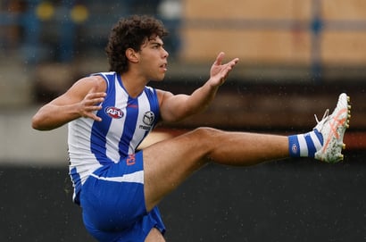 north melbourne kangaroos