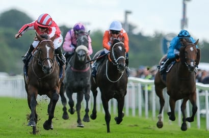 2025 Nunthorpe Stakes Tips - Two to back in this Group One sprint
