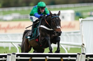 2026 Supreme Novices' Hurdle Odds - Old Park Star the clear favourite at Cheltenham