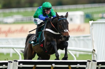 2026 Supreme Novices' Hurdle Odds - Old Park Star the clear favourite at Cheltenham