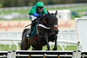 Newspaper Racing Tips - Old Park Star, Lulamba and Madara the top picks on Cheltenham Day 1