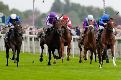 When is the 2026 Juddmonte International Stakes?