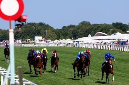 ombudsman ascot