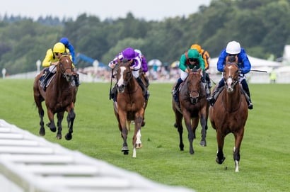 ombudsman ascot