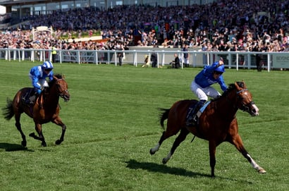 ombudsman ascot