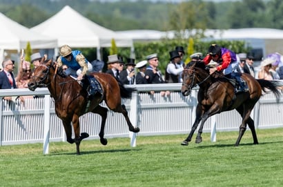 opportunity ascot