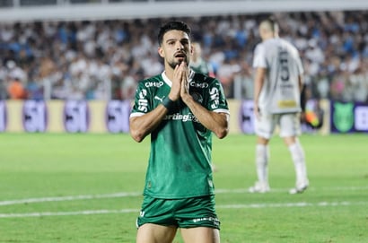 palmeiras