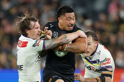 panthers storm