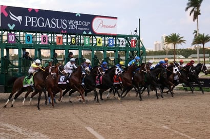 pegasus world cup