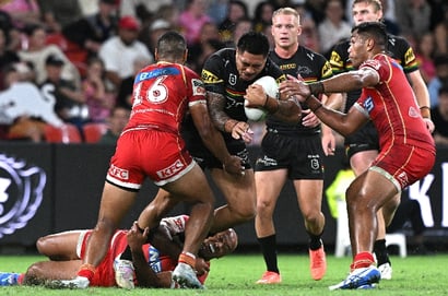 penrith panthers dolphins