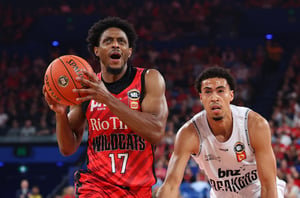 perth wildcats