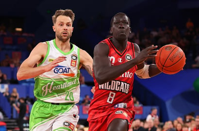 perth wildcats phoenix