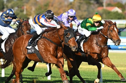 Get $7.50 for Miss Ole & Jimmy The Bear to both Win