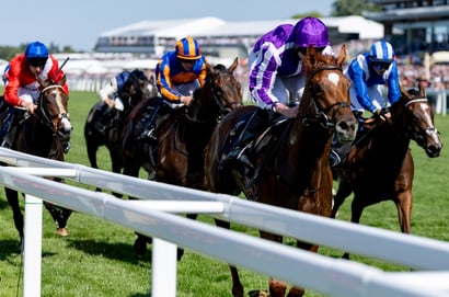 precise ascot