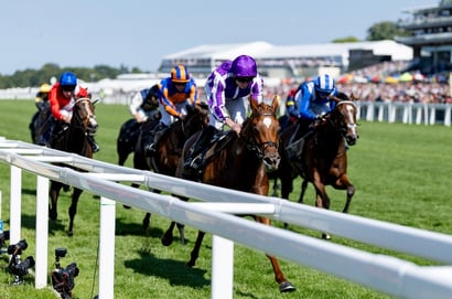 precise ascot
