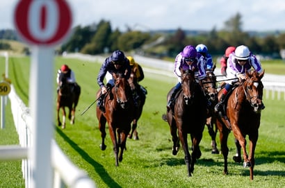 2025 Fillies' Mile Odds - Precise and Legacy Link head Newmarket betting