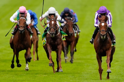 precise newmarket