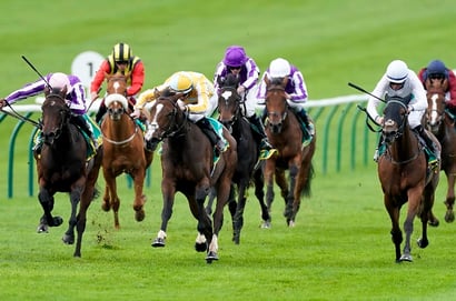 2025 Fillies' Mile Tips - O'Brien's filly the value option at Newmarket