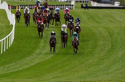 Punchestown Festival 2025 Tips - Three final day selections