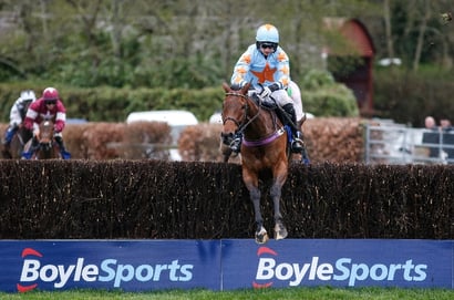 punchestown chase