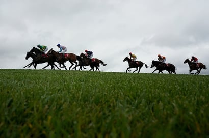 punchestown chase