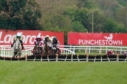 punchestown hurdle