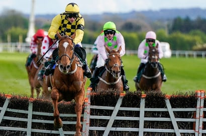 punchestown hurdle