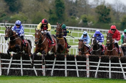 punchestown hurdle