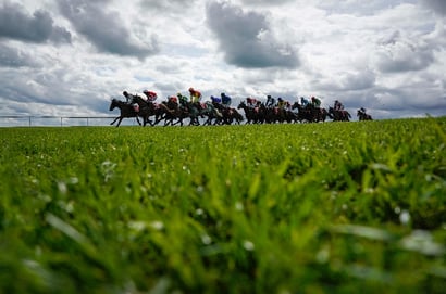 punchestown racecourse