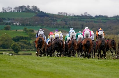 punchestown racecourse