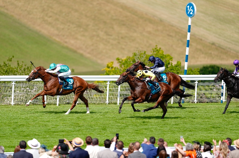 Sussex Races 2026 Sussex Stakes News | Dates and vital information.