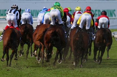 queen elizabeth stakes randwick field