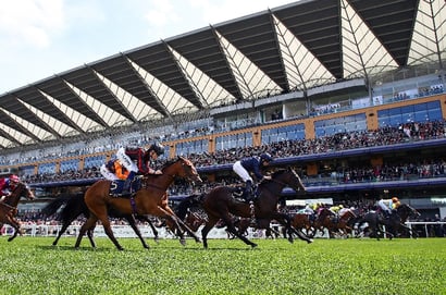 queen mary stakes