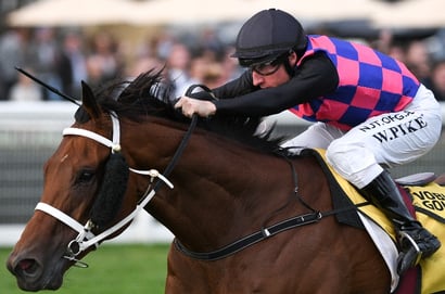 Railway Stakes 2025 Betting Tips - Will Watch Me Rock Seal Another Railway for Pike and Williams?