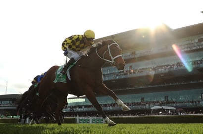 randwick tips for 03.10.2026