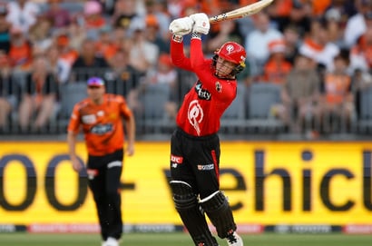 renegades scorchers bbl