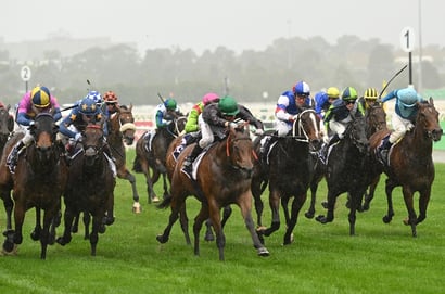 Saturday Roughies for May 16, 2026 - Value Bets Across Australia