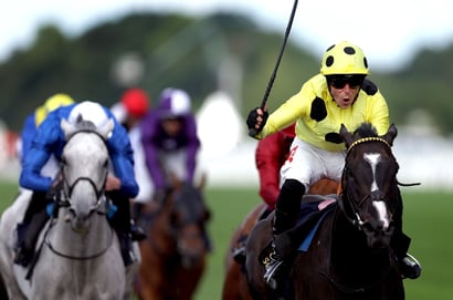royal champion wolferton