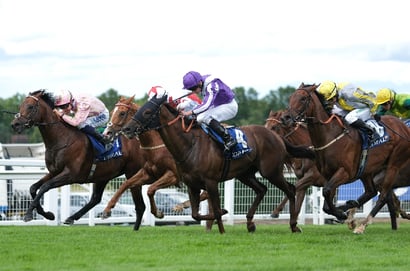 sandown challenge