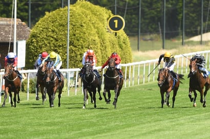 sandown july dragon