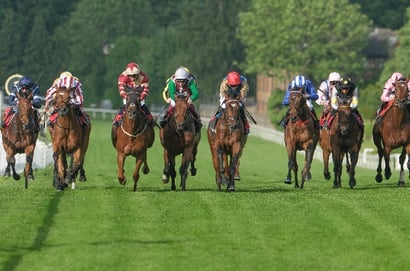 sandown park may